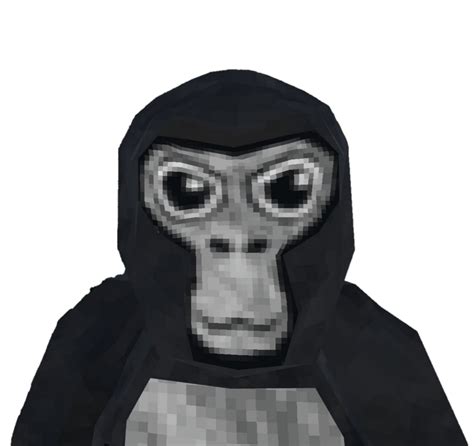 Gorilla Tag Wiki